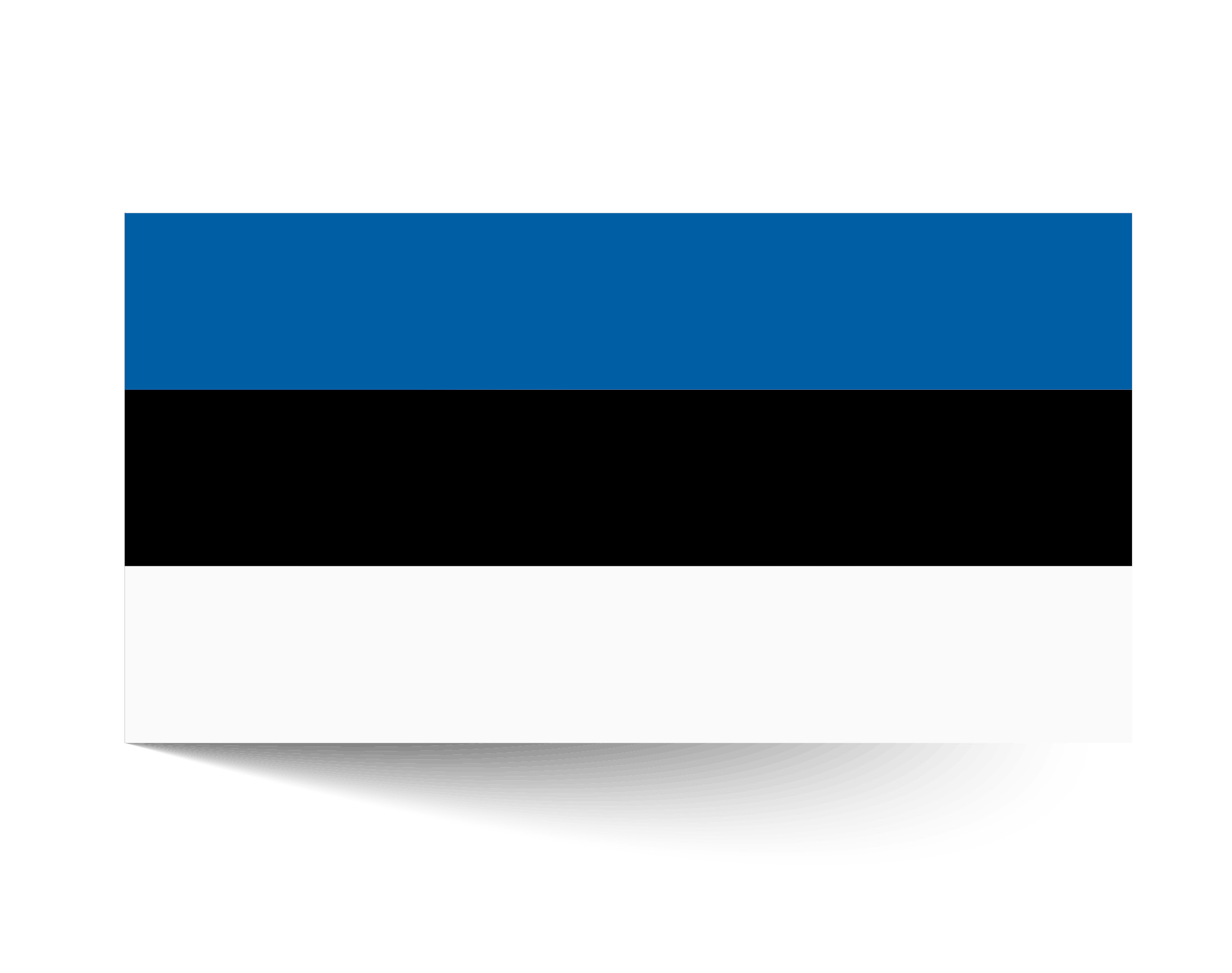 flagge-estland-truck-team-boerner